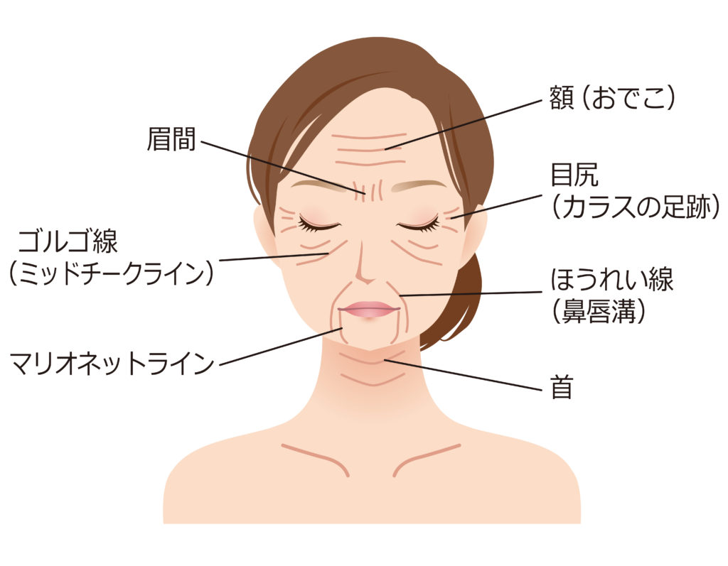 ５０代の顔のしわ たるみを防ぐ顔筋ストレッチ 顔ヨガで劇的に変わる 大人女性のためのwebマガジンeclair